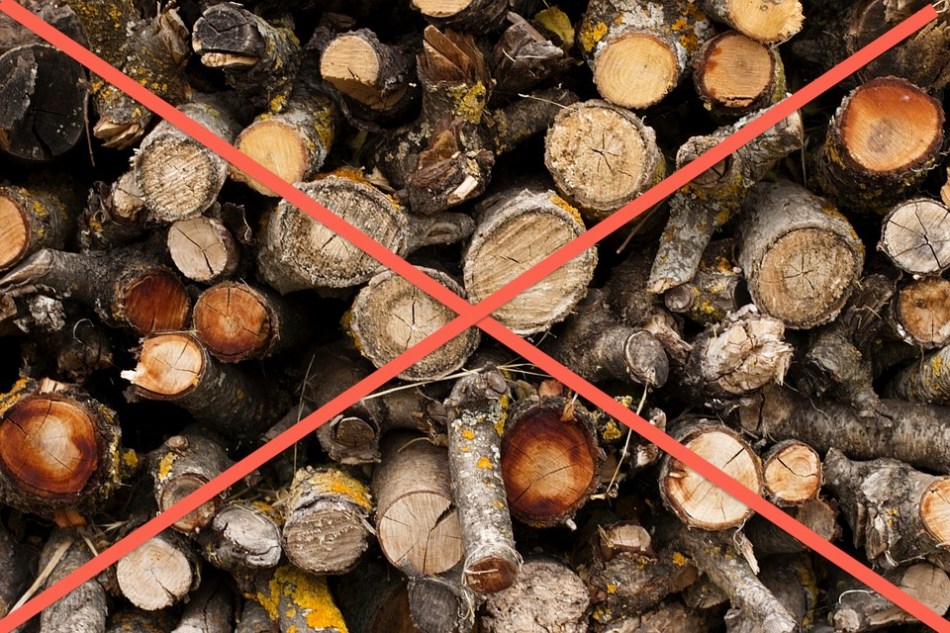 Comment repousser les couleuvres de son jardin ? | Last Guide